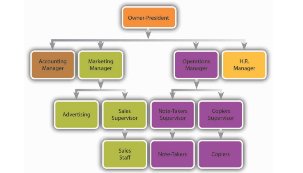 organizational-structure